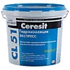 CERESIT CL 51, 5кг
