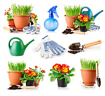 САД И ОГОРОД